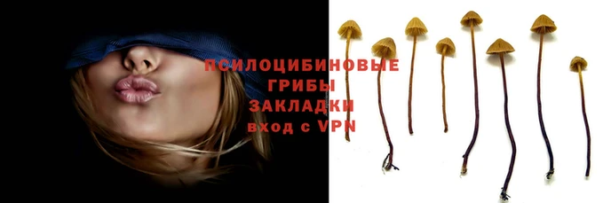 меф Белокуриха